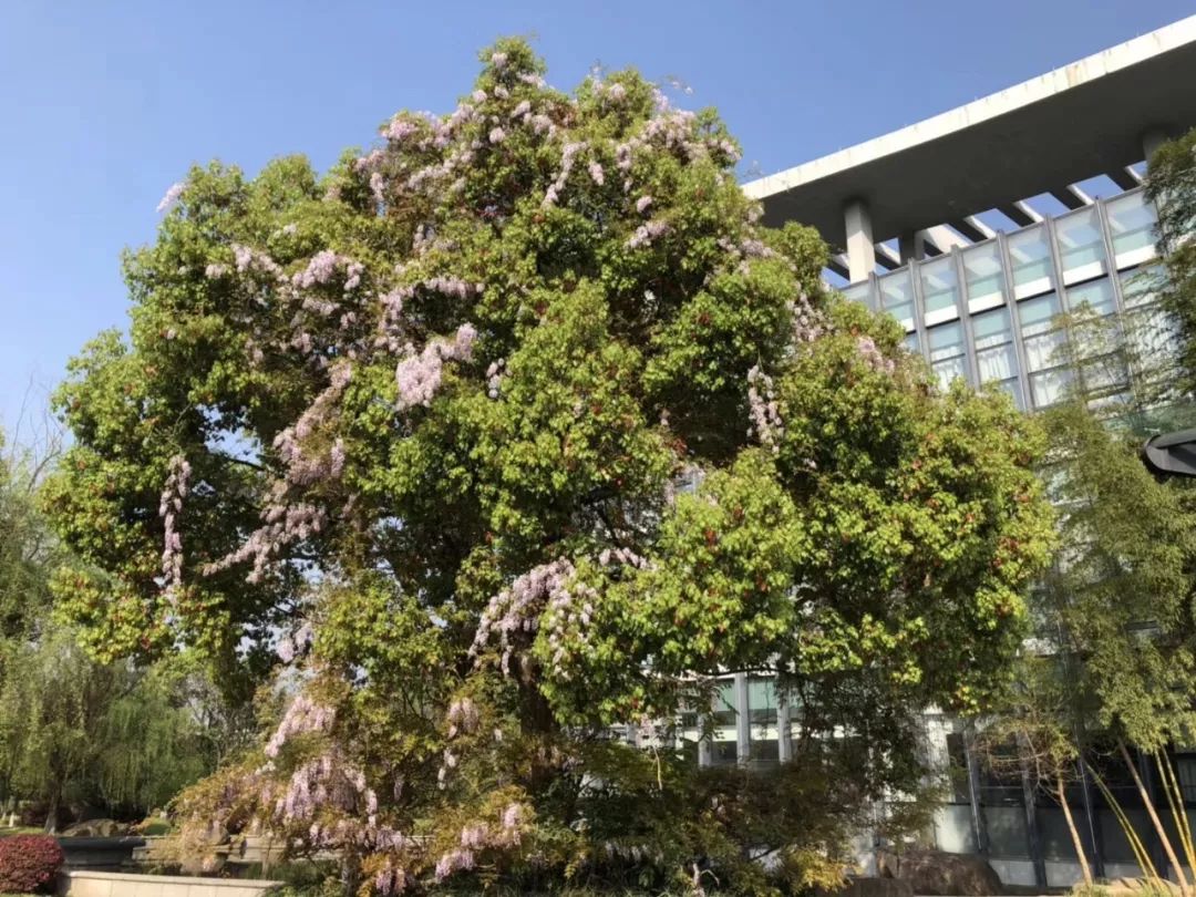 高级运动营养学在线阅读_高级运动营养学读书笔记_高级运动营养学