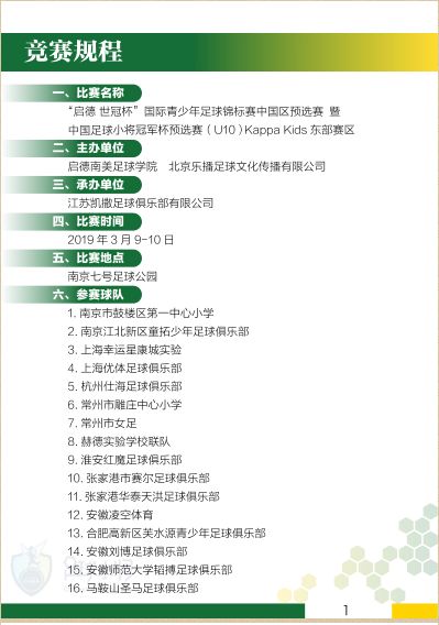足球小将冠军杯总决赛_足球小将决赛谁赢了_小将决赛足球杯冠军是谁