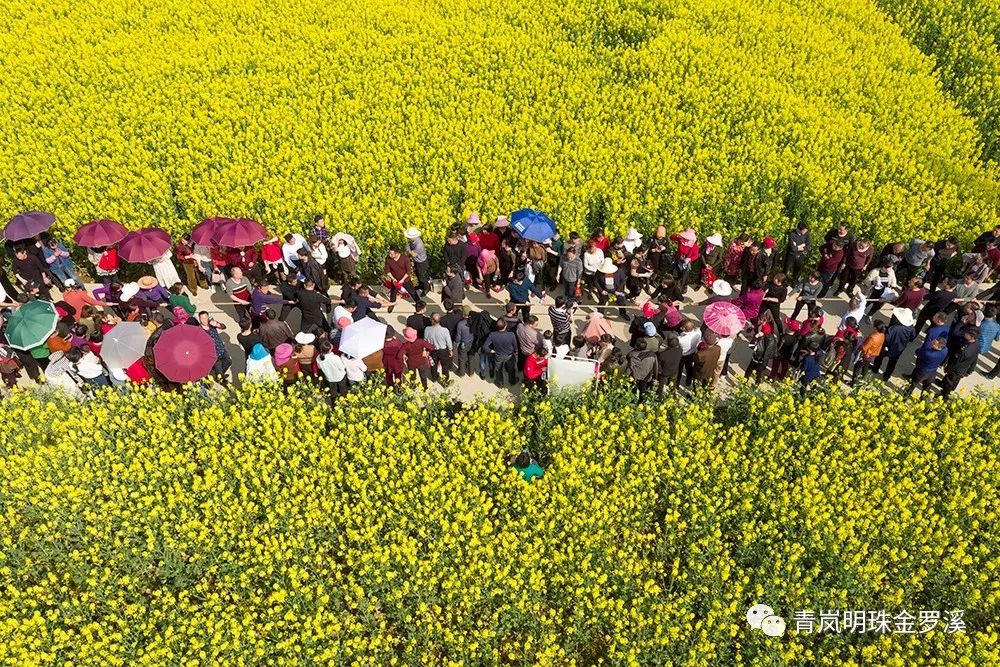 农民趣味运动会_农民趣味运动会主持稿_农民趣味运动会方案