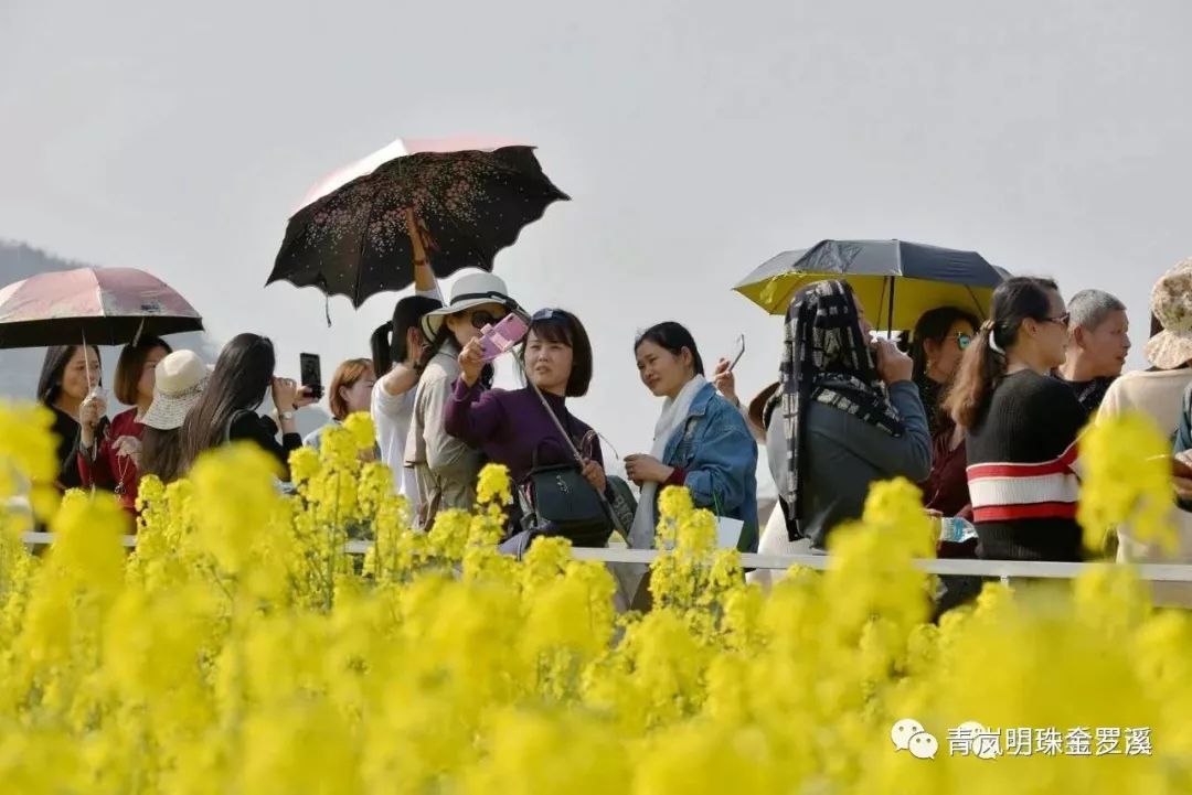 农民趣味运动会主持稿_农民趣味运动会_农民趣味运动会方案