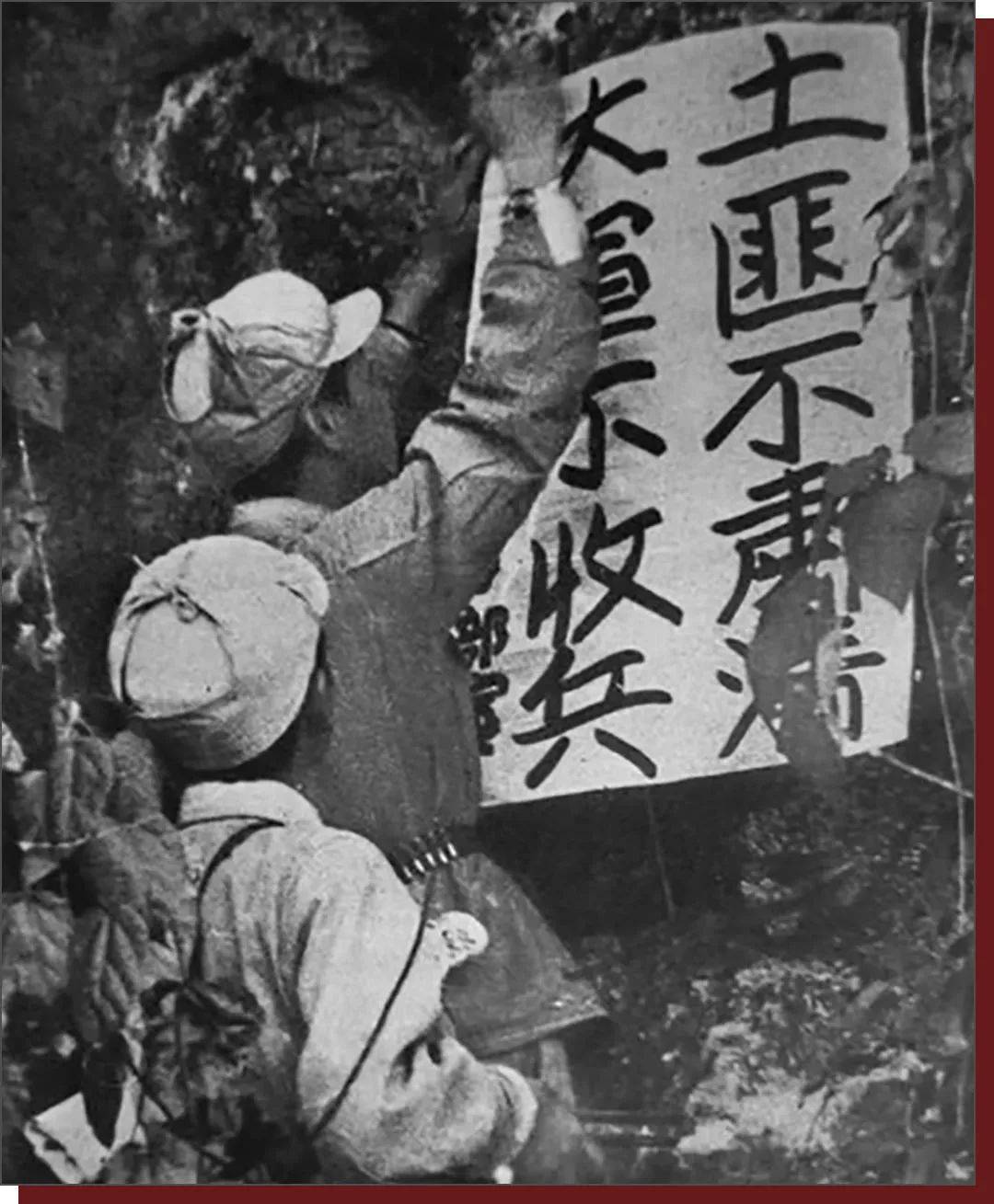 镇反运动_镇反运动视频_什么是镇反运动